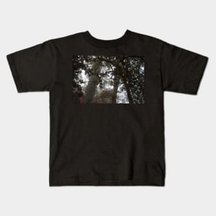 Through the Mist Kids T-Shirt